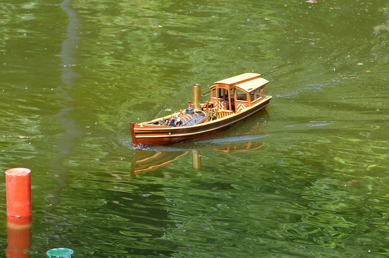 BSF_0772.JPG