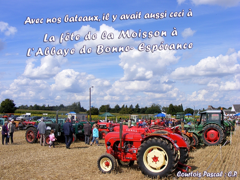 DSCF0137.jpg